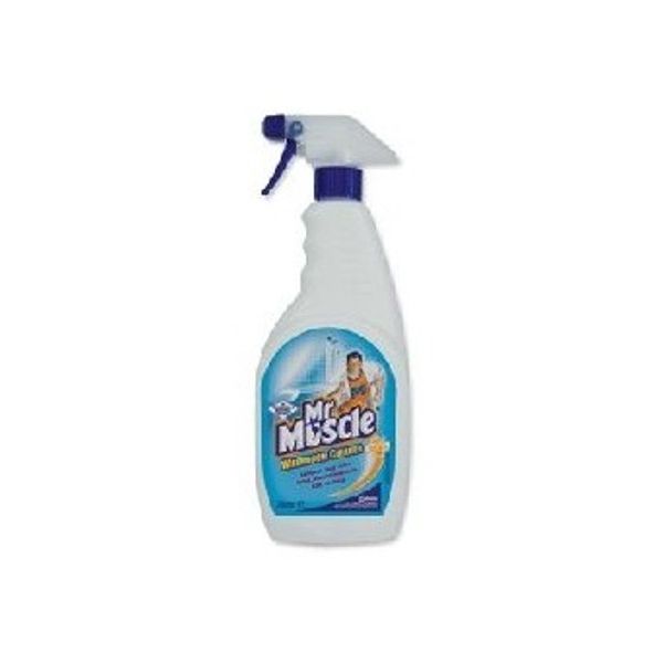Mr Muscle Washroom Cleaner, 750ml