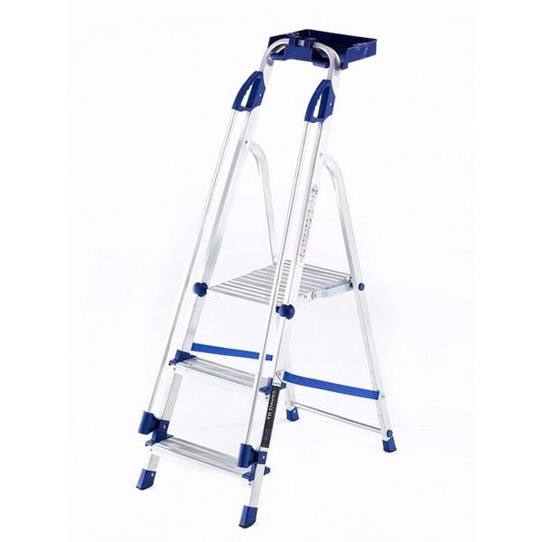 Professional Platform Step Ladder (Handrail & Tool tray)